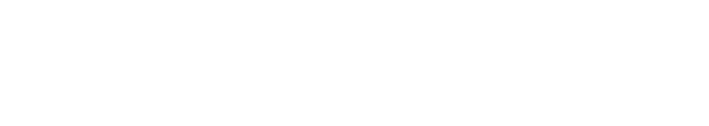 Spaceberries Logo